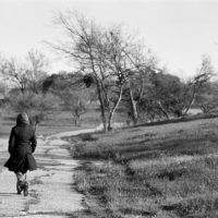 20160320 0958 Polypan F around the house Neighborhood walk around the house ©JamesECockroft 3879