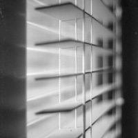 20160320 1006 Polypan F around the house Neighborhood walk around the house ©JamesECockroft 3904 1