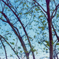 20160327 1003 Las Colinas Walk Random CN200 shot at 50 and pulled 1 stop ©JamesECockroft 3980