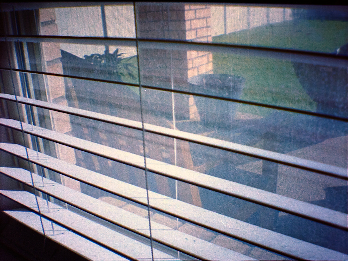 through the blinds