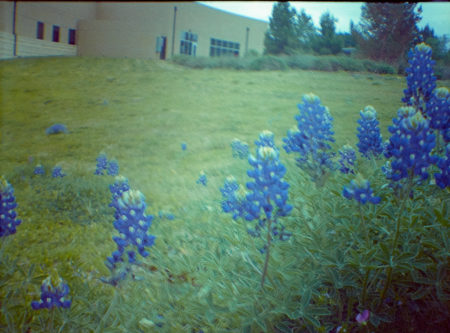 20160416 0909 Random half frame Kodak Hawkeye 400 ©JamesECockroft 4466