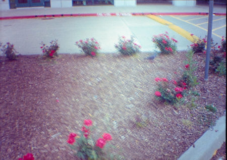 20160416 0909 Random half frame Kodak Hawkeye 400 ©JamesECockroft 4467