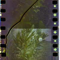 20160416 0922 Random square frame Imation Scotch 100 ©JamesECockroft 4513 1