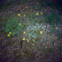 20160416 0924 Random square frame Imation Scotch 100 ©JamesECockroft 4523