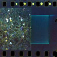 20160416 0925 Random square frame Imation Scotch 100 ©JamesECockroft 4526