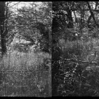 20160430 1340 Diana Mini HP5 Mom visit Random ©JamesECockroft 4837