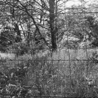 20160430 1356 HP5 Mom visit Random ©JamesECockroft 4884