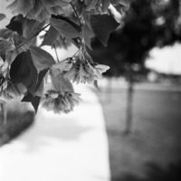 20160430 1357 HP5 Mom visit Random ©JamesECockroft 4889