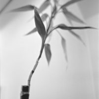 20160430 1402 HP5 Mom visit Random ©JamesECockroft 4905