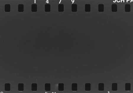 20160821 0950 Random FW Botanical Garden Random ©JamesECockroft 0242