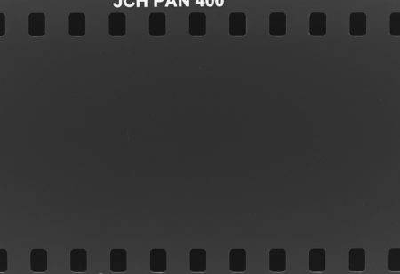 20160821 0951 Random FW Botanical Garden Random ©JamesECockroft 0243 1