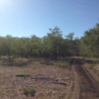 20141004 100221 Eid al Adha 2014 ©JamesECockroft