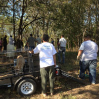 20141004 100926 Eid al Adha 2014 ©JamesECockroft