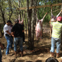 20141004 114135 Eid al Adha 2014 ©JamesECockroft