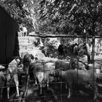 20150926 132405 Kentmere 400 1906 ©2015 JamesECockroft