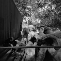 20150926 132410 Kentmere 400 1907 ©2015 JamesECockroft