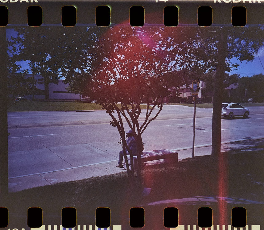 Bloom, Dallas, TX 2016