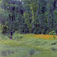 20160530 1007 Trinity River Audobon ©JamesECockroft 5347