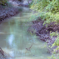 20160530 1007 Trinity River Audobon ©JamesECockroft 5348