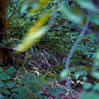 20160530 1009 Trinity River Audobon ©JamesECockroft 5351