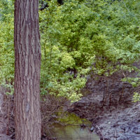 20160530 1012 Trinity River Audobon ©JamesECockroft 5355