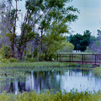 20160530 1014 Trinity River Audobon ©JamesECockroft 5362