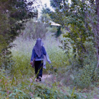 20160530 1015 Trinity River Audobon ©JamesECockroft 5364
