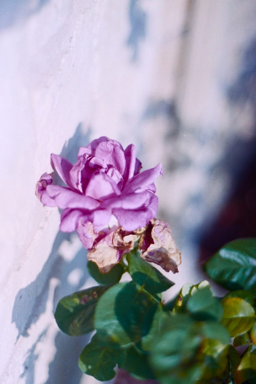 but I still like it, Irving, TX 2016