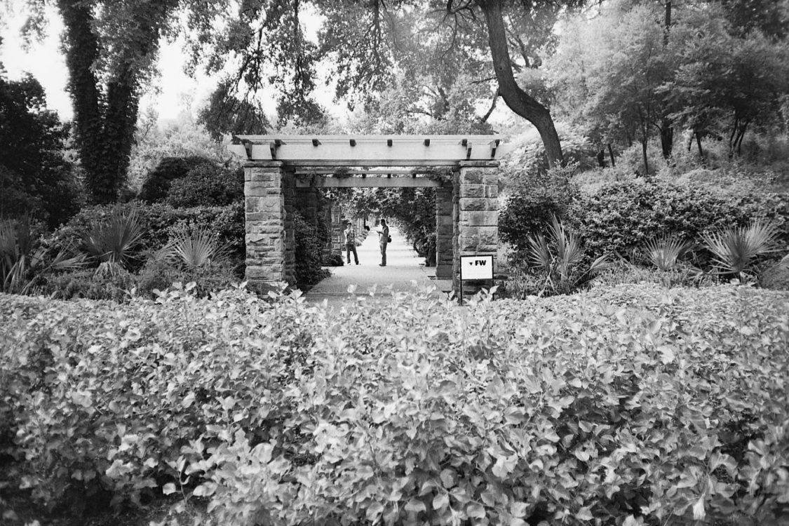 Fort Worth, TX, 2016