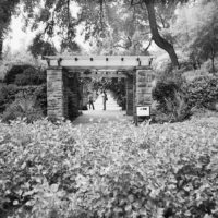 20160821 0934 Random FW Botanical Garden Random ©JamesECockroft 0208 2