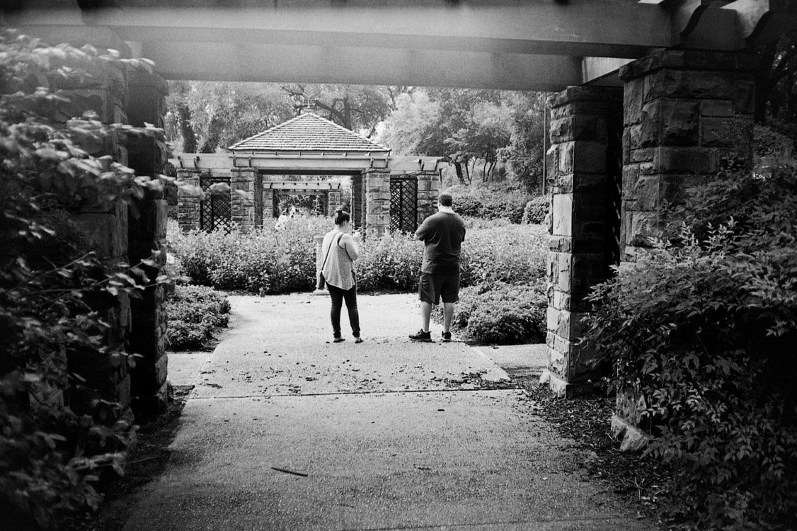 20160821 0935 Random FW Botanical Garden Random ©JamesECockroft 0209