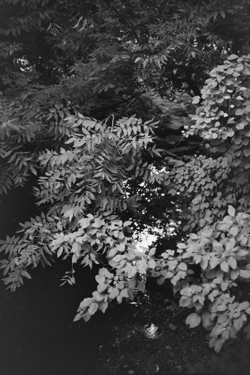 Twin Peaks, Fort Worth, TX, 2016