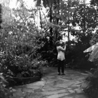 20160821 0941 Random FW Botanical Garden Random ©JamesECockroft 0223