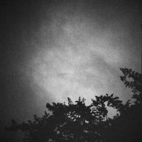 20160821 0952 Random FW Botanical Garden Random ©JamesECockroft 0246