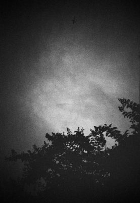 20160821 0952 Random FW Botanical Garden Random ©JamesECockroft 0246