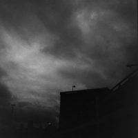 20160821 0955 Random FW Botanical Garden Random ©JamesECockroft 0256