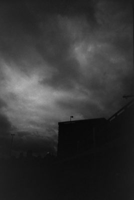 20160821 0955 Random FW Botanical Garden Random ©JamesECockroft 0256