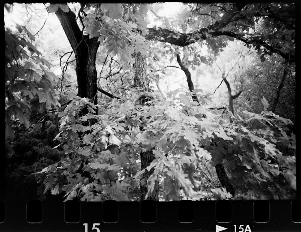 Fort Worth, TX, 2016