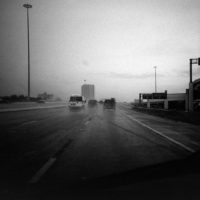 20160821 1004 Random FW Botanical Garden Random ©JamesECockroft 0287