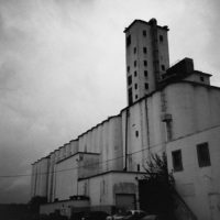 20160821 1004 Random FW Botanical Garden Random ©JamesECockroft 0288