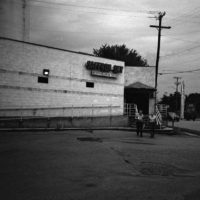 20160821 1004 Random FW Botanical Garden Random ©JamesECockroft 0289