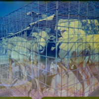 20160910 1710 Eid al Adha 2014 Random ©JamesECockroft 0298