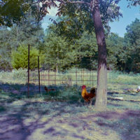 20160910 1730 Eid al Adha 2015 Random ©JamesECockroft 0357