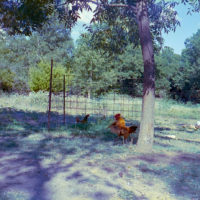 20160910 1730 Eid al Adha 2015 Random ©JamesECockroft 0358