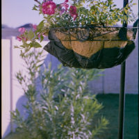 20161009 0623 Homelife 200 test ©JamesECockroft 0610