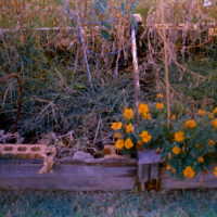 20161009 0623 Homelife 200 test ©JamesECockroft 0612