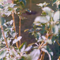 20161009 0626 Homelife 200 test ©JamesECockroft 0618