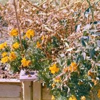 20161009 0627 Homelife 200 test ©JamesECockroft 0622