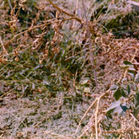 20161009 0627 Homelife 200 test ©JamesECockroft 0623