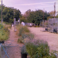 20161009 0628 Homelife 200 test ©JamesECockroft 0626